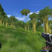 007