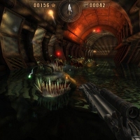 262