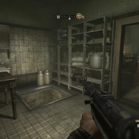 Wolf2-2016-01-02-21-34-24-80