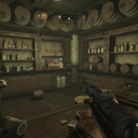 Wolf2-2016-01-02-21-35-15-29