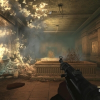 Wolf2-2016-01-02-21-56-43-33