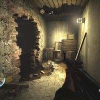 Wolf2-2016-01-03-21-28-56-66