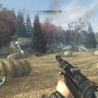 Wolf2-2016-01-05-20-25-26-72