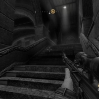 Wolf2-2016-01-12-19-32-30-73