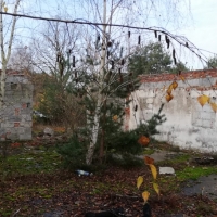 IMG_20201115_093441