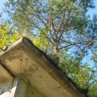 20180726_171503_hdr