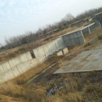 DSC00954