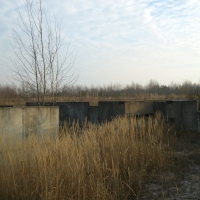 DSC00964