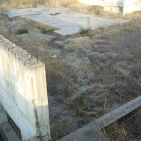 DSC00967