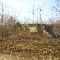 DSC00972