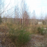 DSC00974