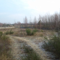 DSC00975