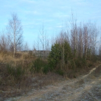 DSC00979