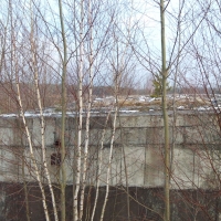 DSC00981
