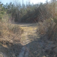 20180402_155612_HDR