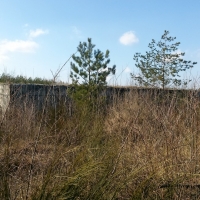 20180402_155620_HDR