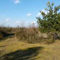 20180402_155720_HDR
