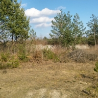 20180402_155726_HDR