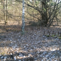 20180402_155749_HDR