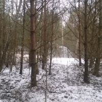 20190106_121602