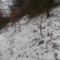 20190106_122243