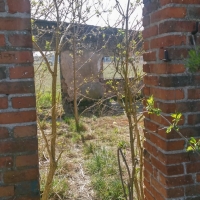 20190414_131024_hdr