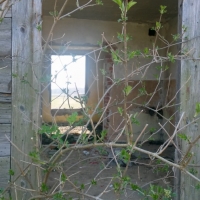 20190414_131112_hdr