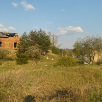 20190422_180055_hdr