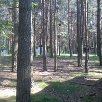 DSC00003