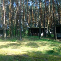 DSC00011