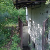 DSC00081