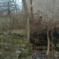 foto0304