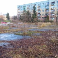 dsc00371