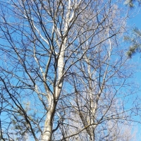 IMG_20200315_130309