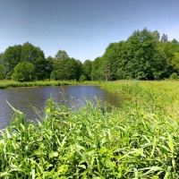 Ultimate_HDR_Camera_20200613_103725