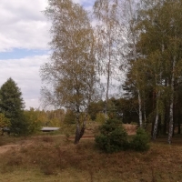IMG_20201004_100625