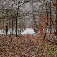 IMG_20201226_111419