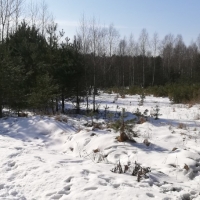 IMG_20210221_115546
