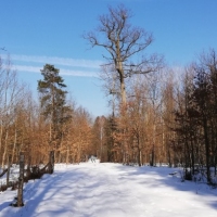 IMG_20210221_121004