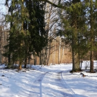 IMG_20210221_121913