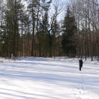 IMG_20210221_122336
