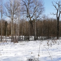 IMG_20210221_122733