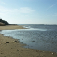 047-karolinow