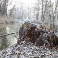 085-wolborka
