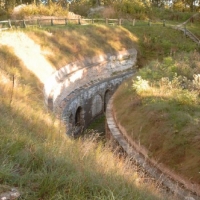 simg0101