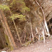 simg0232