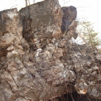 simg0233