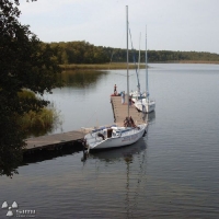 simg0259