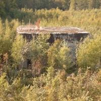 simg0274