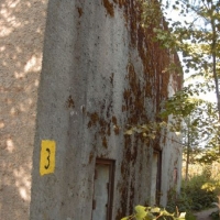 simg0289